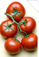 Racimo de Tomates